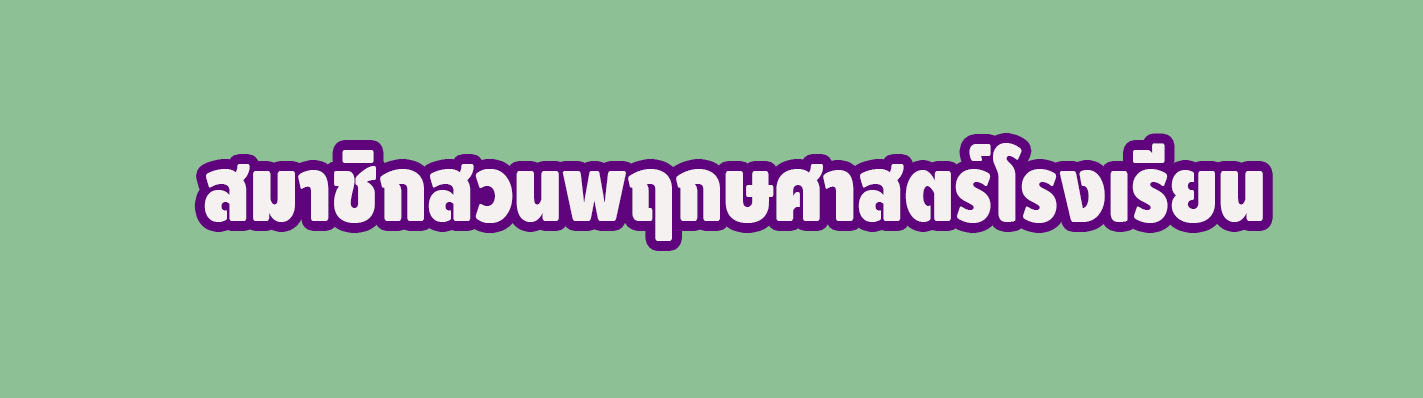 Relateds Banner Slider-68c0d9dfb6f94.jpg